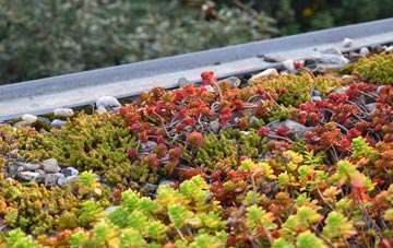 the cost of Annacloy green roof installation