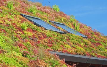 Annacloy living roof systems
