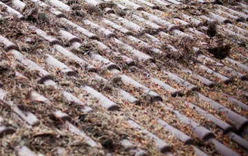 Annacloy roof cleaning companies