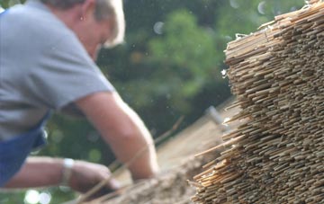 professional Annacloy thatchers