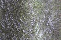 Annacloy fibreglass roof work